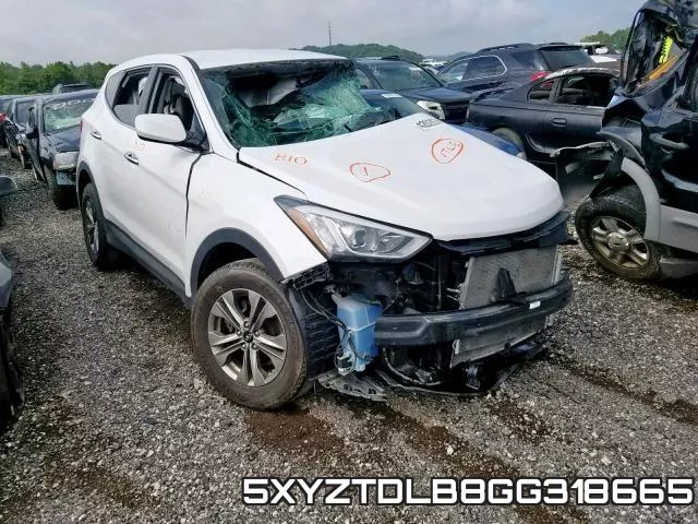 5XYZTDLB8GG318665