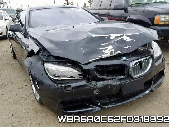 WBA6A0C52FD318392