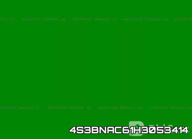 4S3BNAC61H3053414