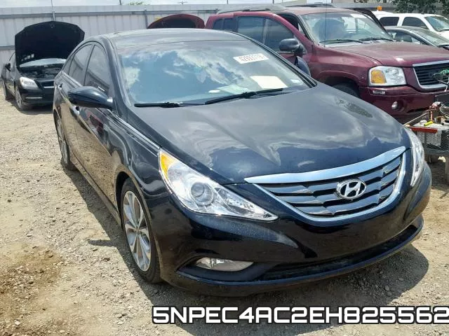 5NPEC4AC2EH825562