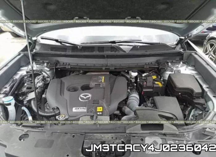 JM3TCACY4J0236042_10.webp