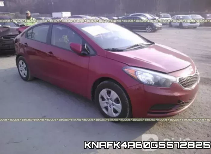 KNAFK4A60G5572825