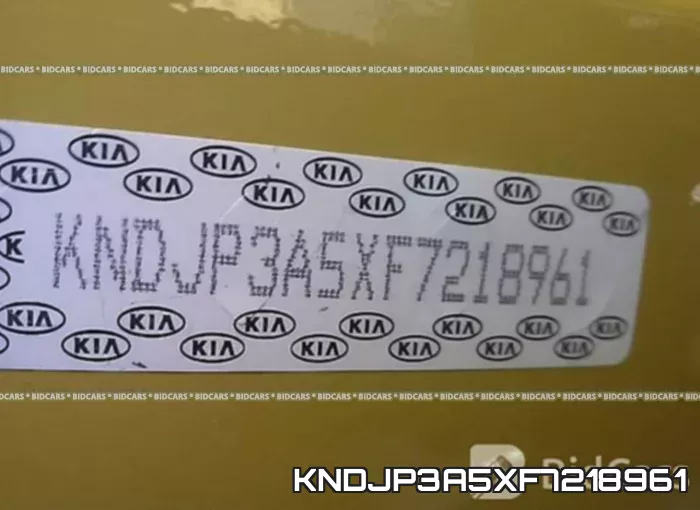 KNDJP3A5XF7218961