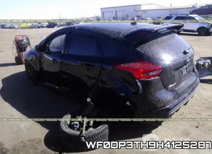 WF0DP3TH9H4125287_3.webp
