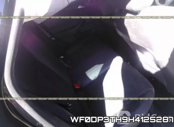 WF0DP3TH9H4125287_8.webp