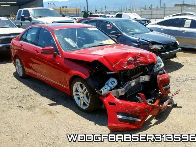 WDDGF8AB5ER313596