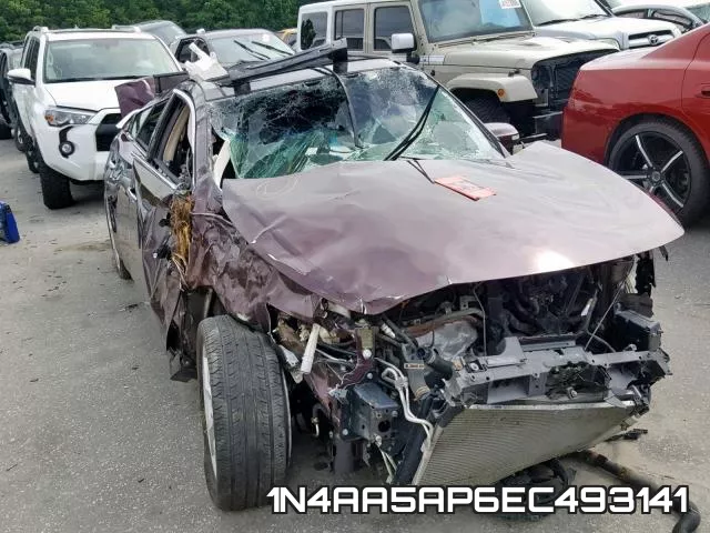 1N4AA5AP6EC493141