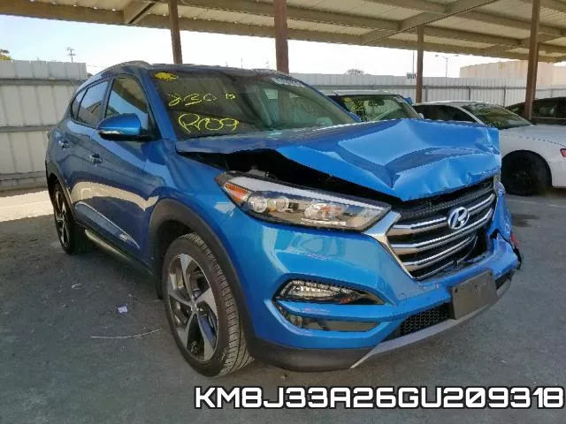 KM8J33A26GU209318