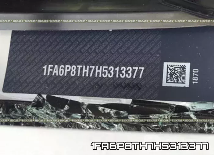 1FA6P8TH7H5313377_9.webp