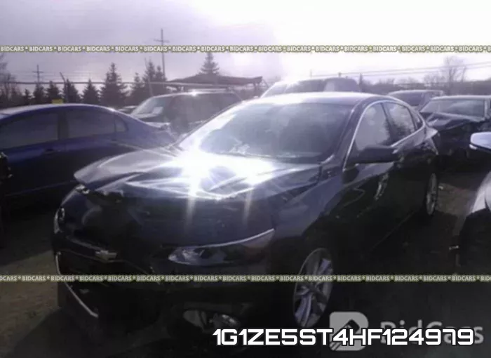 1G1ZE5ST4HF124979_2.webp