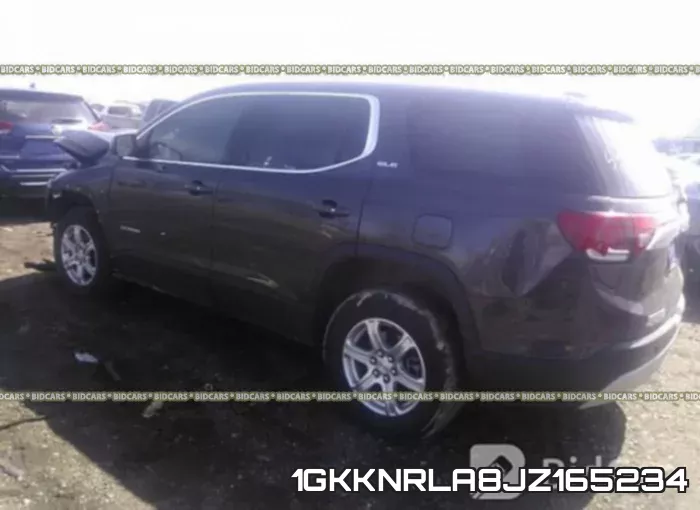 1GKKNRLA8JZ165234_3.webp