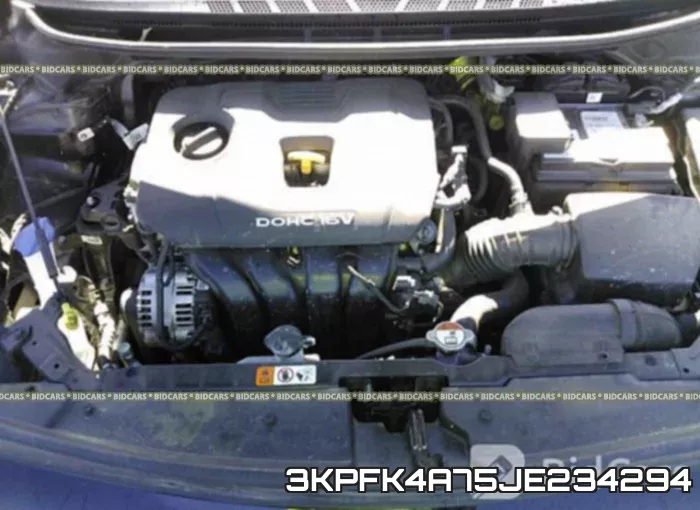 3KPFK4A75JE234294_10.webp