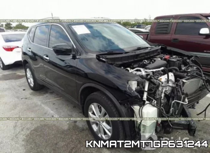 KNMAT2MT7GP631244