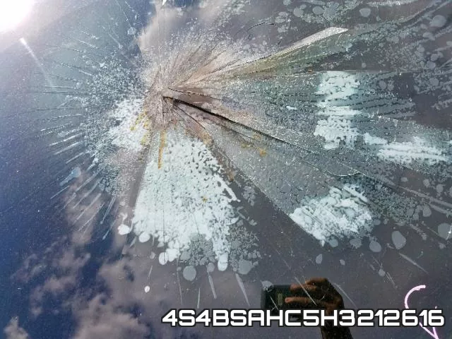4S4BSAHC5H3212616_9.webp