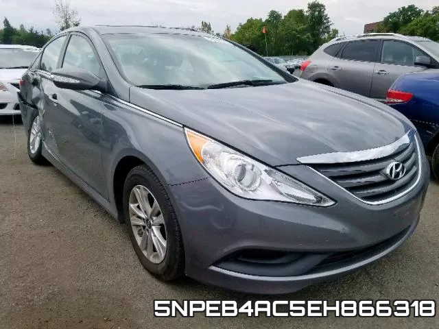 5NPEB4AC5EH866318