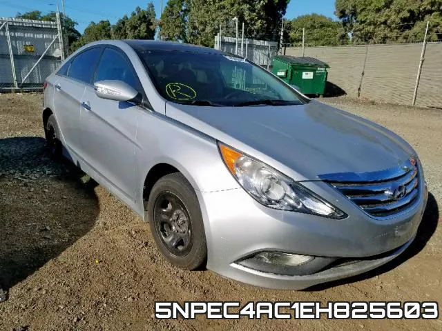 5NPEC4AC1EH825603