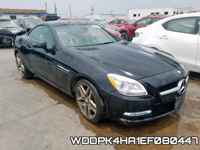 WDDPK4HA1EF080447
