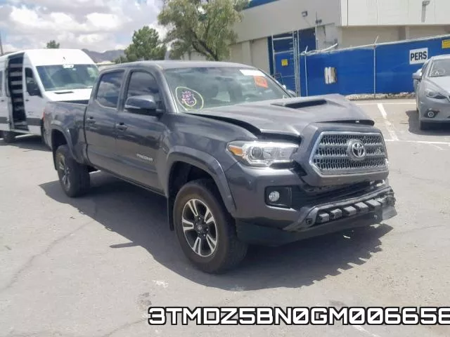 3TMDZ5BN0GM006658