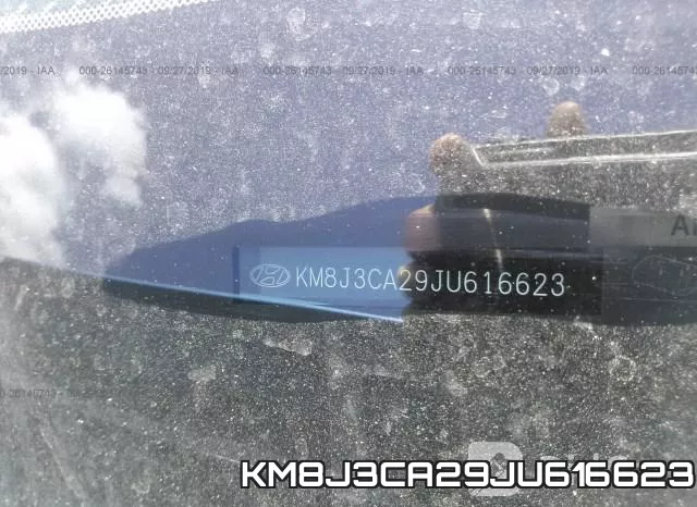 KM8J3CA29JU616623_9.webp