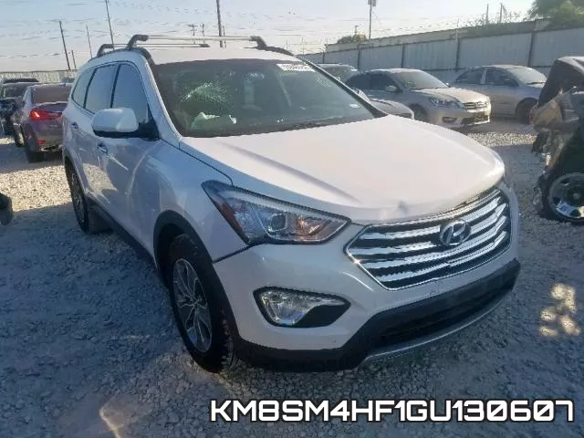 KM8SM4HF1GU130607