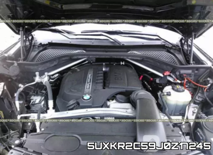 5UXKR2C59J0Z17245_10.webp