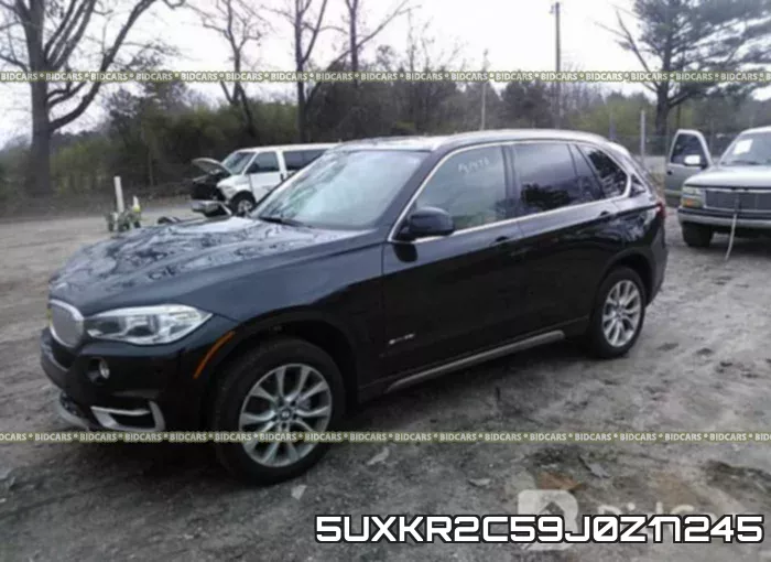 5UXKR2C59J0Z17245_2.webp