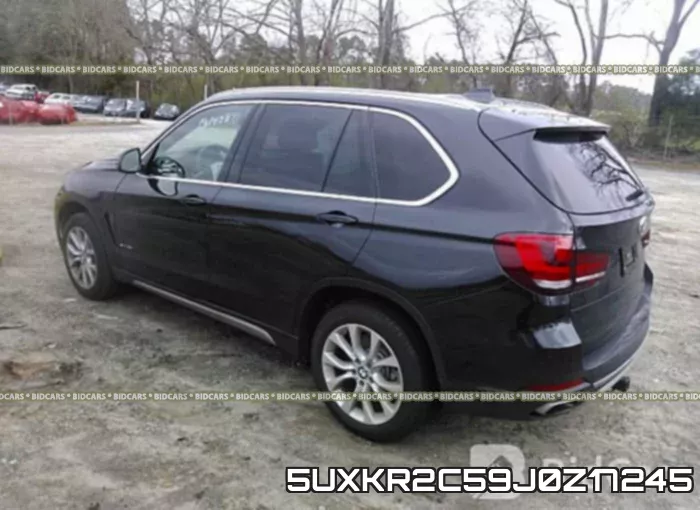 5UXKR2C59J0Z17245_3.webp