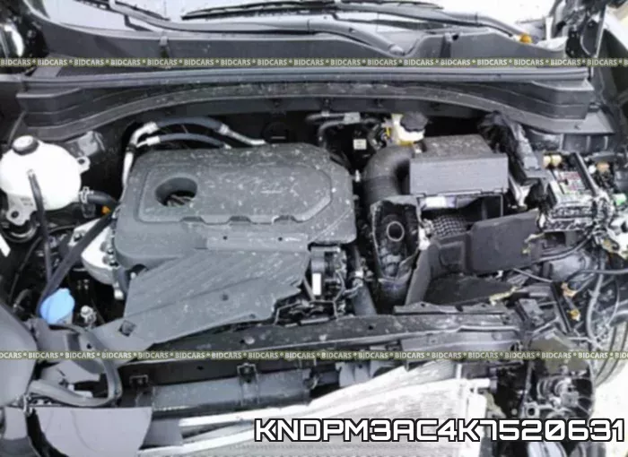 KNDPM3AC4K7520631_10.webp