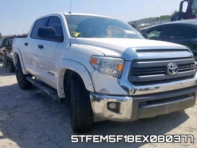 5TFEM5F18EX080377