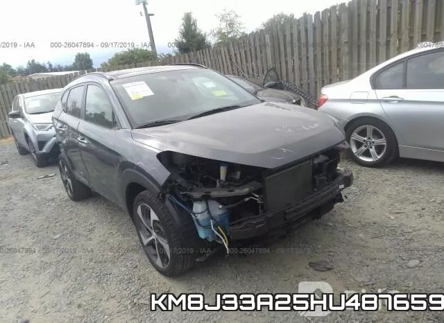 KM8J33A25HU487659_1.webp