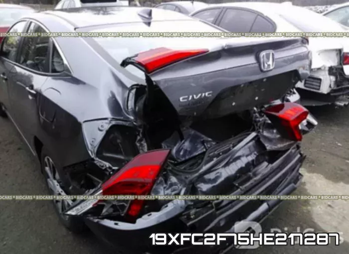 19XFC2F75HE217287_6.webp