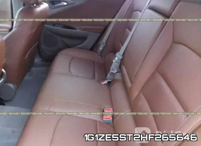 1G1ZE5ST2HF265646_8.webp