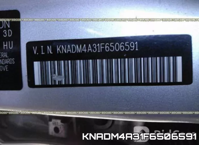 KNADM4A31F6506591