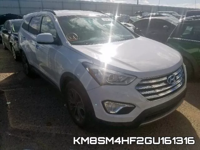 KM8SM4HF2GU161316
