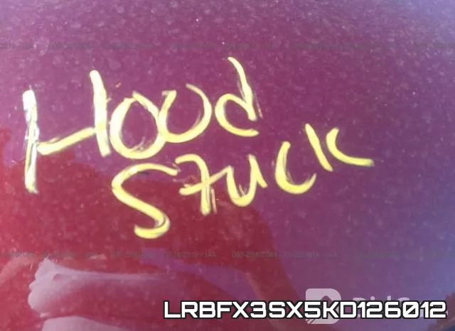 LRBFX3SX5KD126012_10.webp