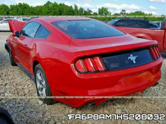 1FA6P8AM7H5208032_3.webp