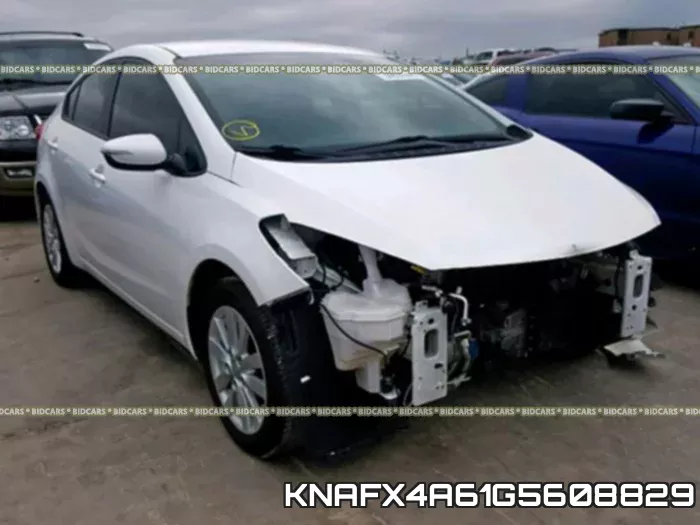 KNAFX4A61G5608829