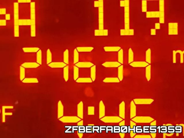 ZFBERFAB0H6E51359