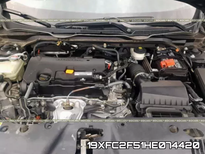 19XFC2F51HE074420_7.webp
