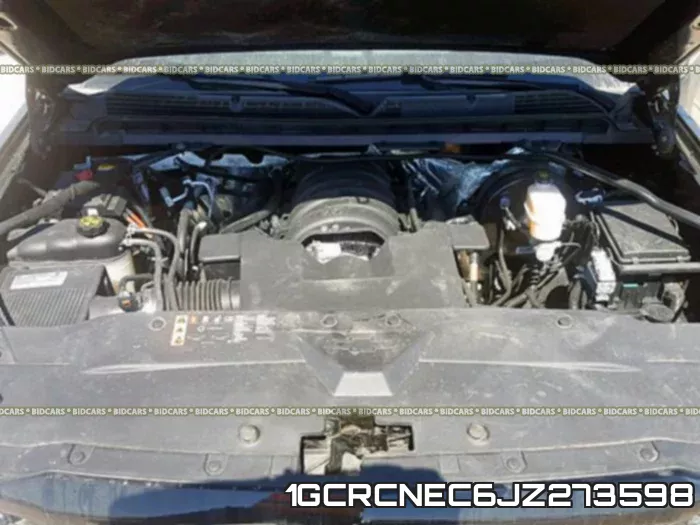 1GCRCNEC6JZ273598_7.webp