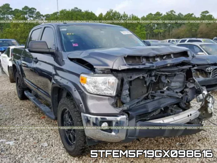 5TFEM5F19GX098616