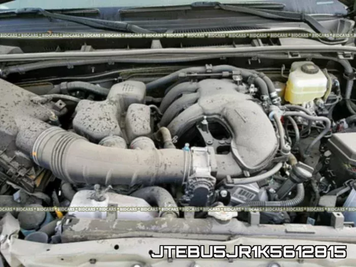 JTEBU5JR1K5612815_7.webp