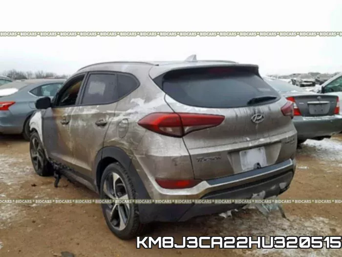 KM8J3CA22HU320515_3.webp