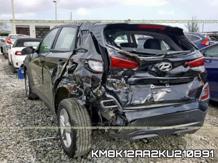 KM8K12AA2KU210891_3.webp
