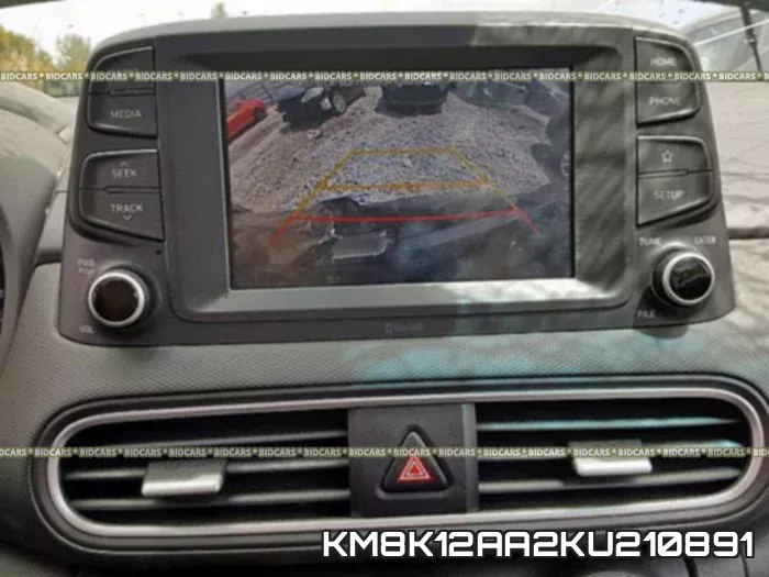 KM8K12AA2KU210891_9.webp