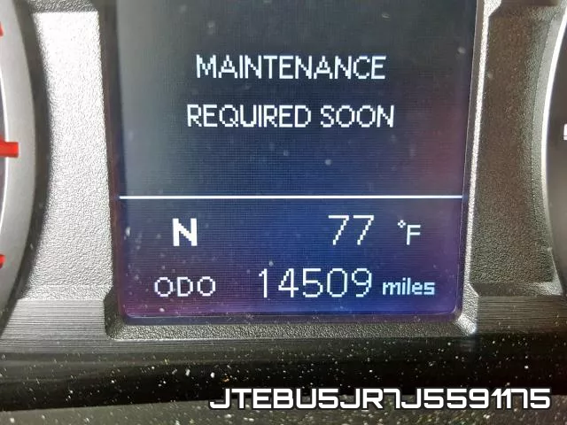 JTEBU5JR7J5591175