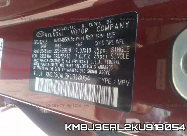 KM8J3CAL2KU918054_9.webp