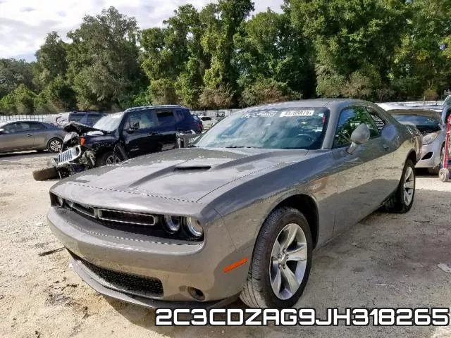 2C3CDZAG9JH318265_2.webp