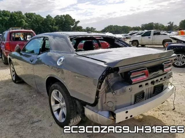 2C3CDZAG9JH318265_3.webp