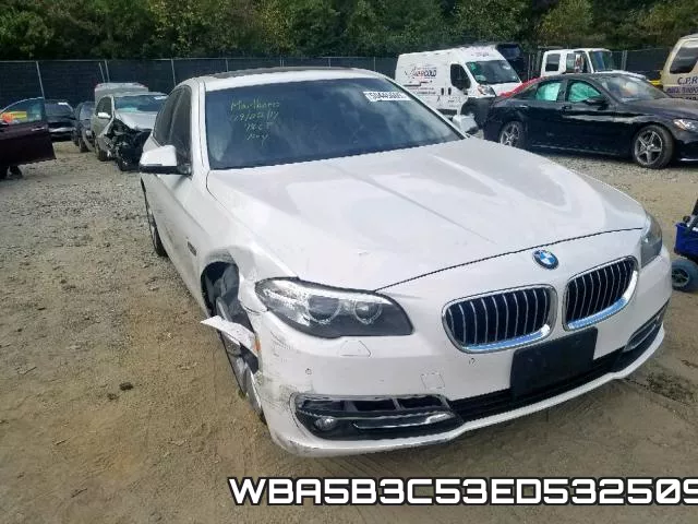 WBA5B3C53ED532509